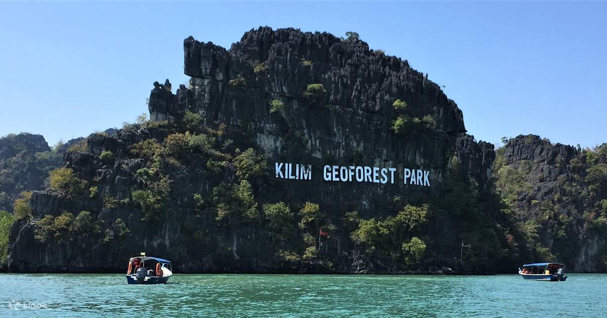 Jelajahi Hutan Mangrove Langkawi yang Memesona